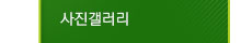 사진갤러리