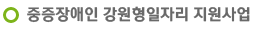 중증장애인 강원형일자리 지원사업